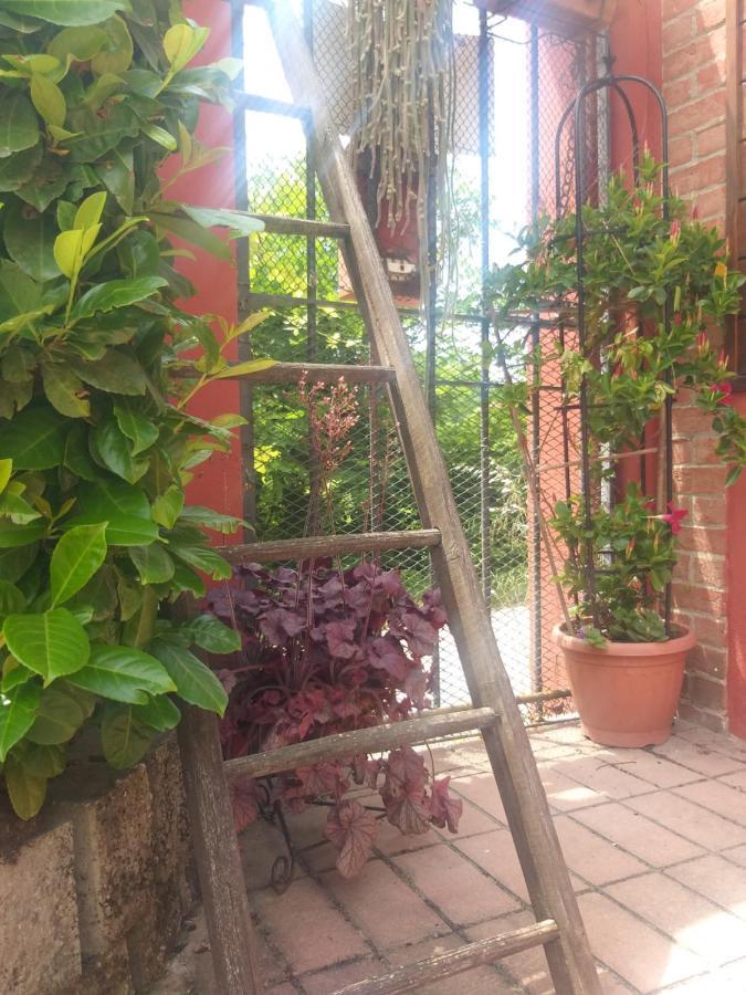 산 다미아노 다스티 Mosci'S Bed & Beer B&B 외부 사진